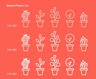 House plants linear 