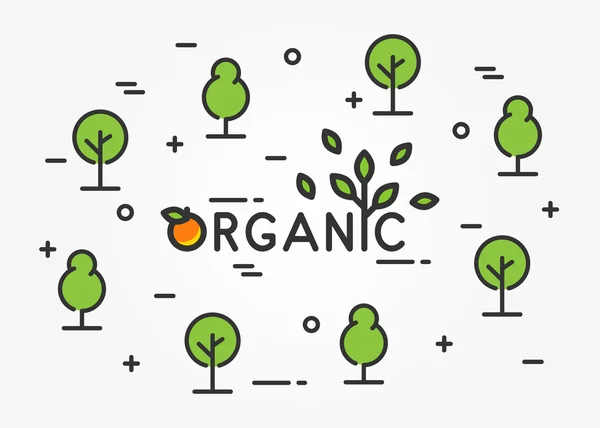 Organic linear banner — Stock Vector