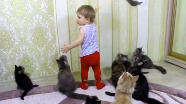 Çocuk ile neşeli mühürler Maine Coons çalış