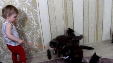 Çocuk ile neşeli mühürler Maine Coons çalış