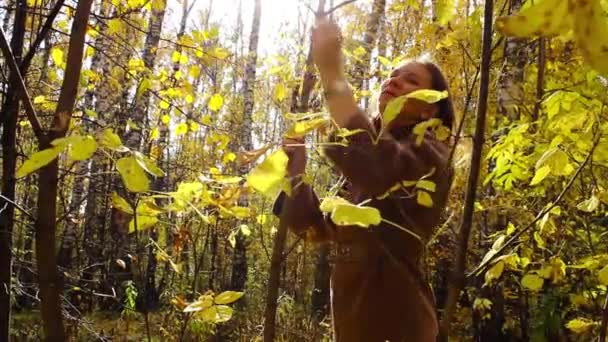 Menina caminha na floresta de outono — Vídeo de Stock