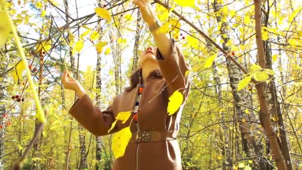 Fille marche dans la forêt d'automne — Video