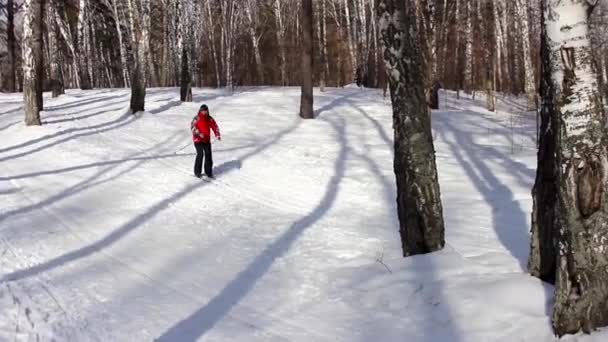 クロスカントリー スキーの人々 します。 — ストック動画