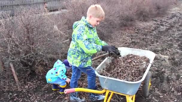 Bambino rimuove le foglie secche nel parco — Video Stock