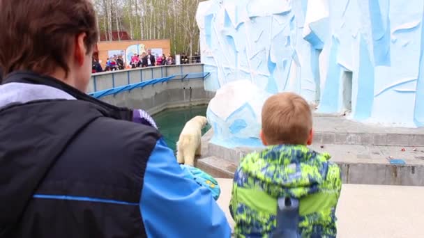 NOVOSIBIRSK, RUSIA - 1 DE MAYO DE 2016: familia en el zoológico mirando osos polares — Vídeos de Stock