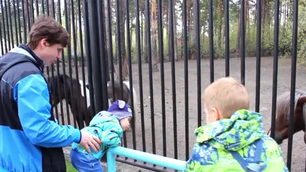 Familie in de dierentuin in de behuizing — Stockvideo