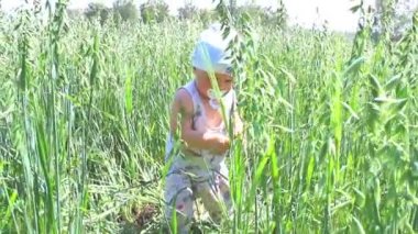 bir çocuk buğday tarlasında çalış