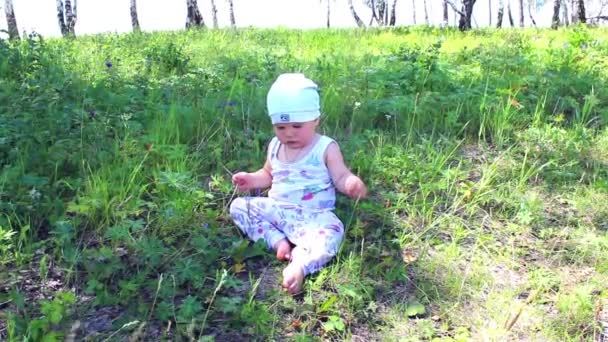 De baby kruipt in een veld van granen — Stockvideo