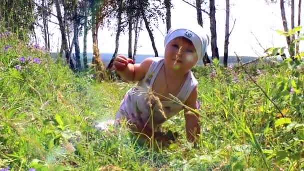 Un niño jugando en el prado — Vídeo de stock