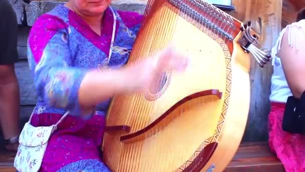 新西伯利亚，俄罗斯-2015 年 7 月 15 日 ︰ 一个女人弹奏乐器 — 图库视频影像