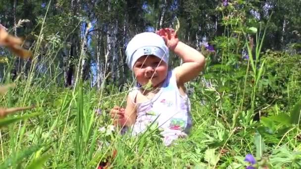 A baba bejárja a gabona területen — Stock videók