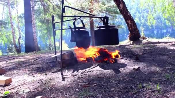 Koken boven een kampvuur in de campagne — Stockvideo