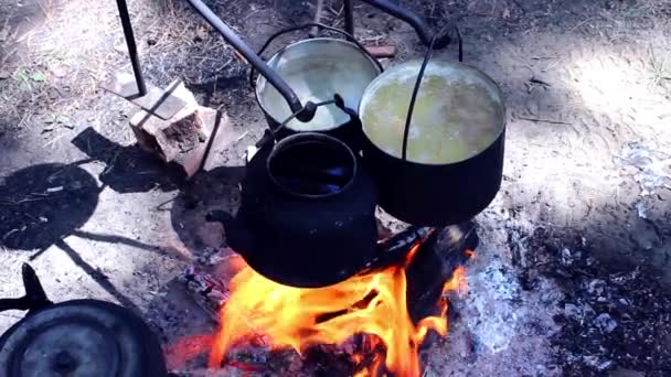 Koken op een brand in de campagne — Stockvideo