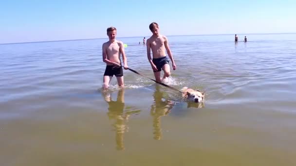 Двое молодых людей гуляют с собакой в море — стоковое видео
