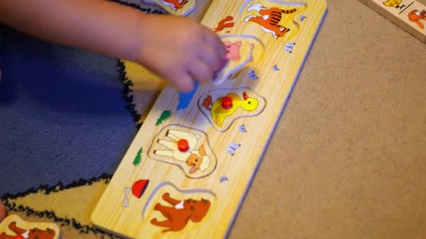 El niño monta un rompecabezas con animales — Vídeo de stock