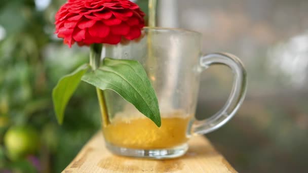 Травяной чай наливают в кружку с цветком — стоковое видео