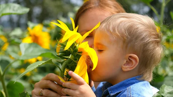 Το παιδί σε μητέρες χέρια παίζοντας με λουλούδι — Φωτογραφία Αρχείου