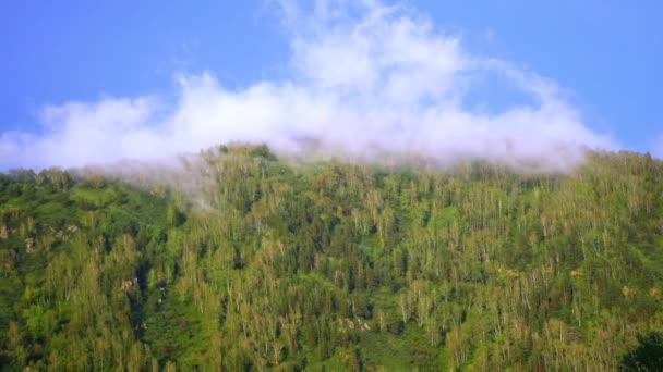 Clouds lying on the mountains — Stock Video