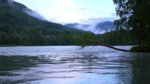 Aan de oever van een rivier berg — Stockvideo