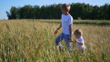 Çocuk bir buğday alanı yürümek