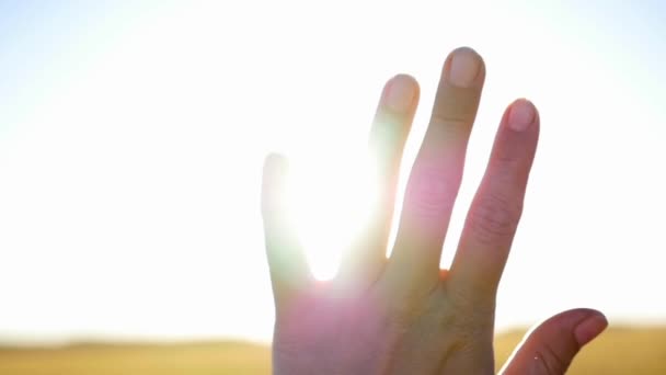 The suns rays through the fingers of the hands — Stock Video