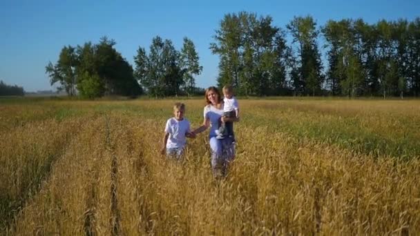 Madre con hijos corriendo en el campo de trigo — Vídeo de stock