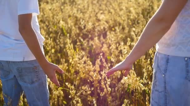 Anya és a baba kéz a kézben egy mezőben — Stock videók