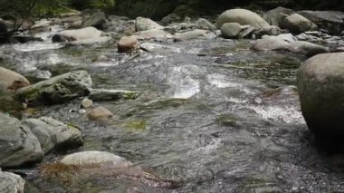 bir dağ nehir taşları üzerinde su akar
