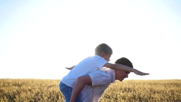 Happy people having fun in wheat field — Stock Video