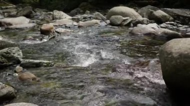 bir dağ nehir fokurdayan su