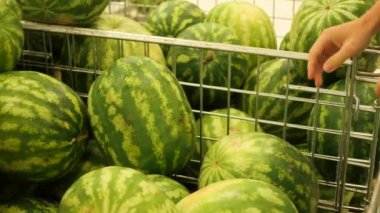 Depodaki seçimi ve satınalma karpuz