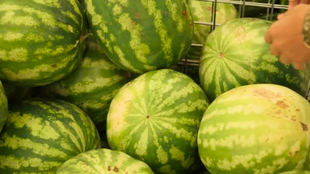 La selección y compra de sandía en la tienda — Vídeo de stock