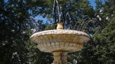 Parktaki güzel çeşme