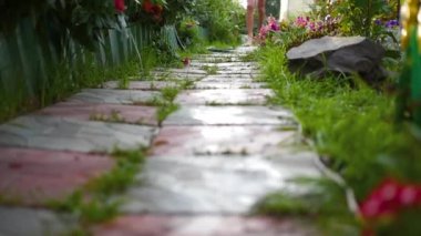 çıplak ayakları ıslak bir iz üzerinde çalışan