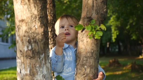 Un bambino piccolo si trova accanto a un albero — Video Stock