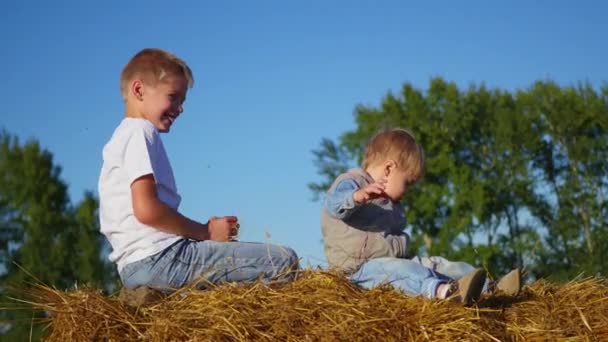 Дети играют на стоге сена на солнце — стоковое видео