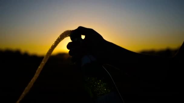 Spatten van champagne bij zonsondergang — Stockvideo