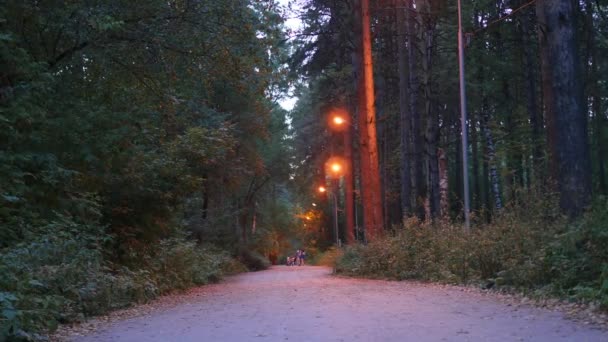 Οικογένεια βόλτες το βράδυ με τα φώτα στάθμευσης — Αρχείο Βίντεο