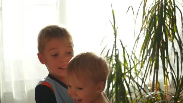 Kinder kuscheln und spielen zu Hause in der Sonne — Stockvideo