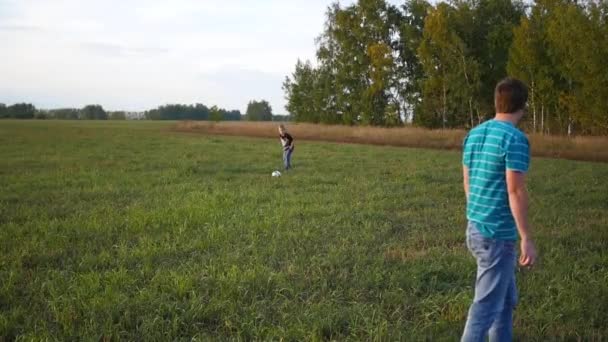 Família brincando com bola no campo — Vídeo de Stock