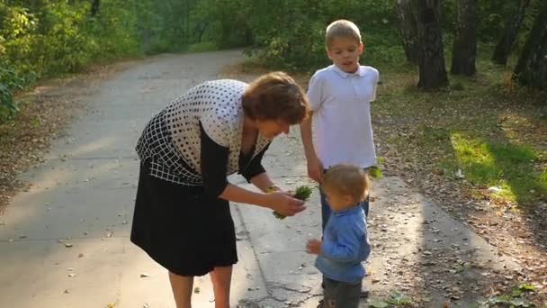 Babcia z wnukami, grając w parku — Wideo stockowe