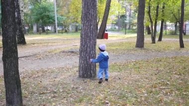 küçük bir çocuk parkta bir sincapla çalış