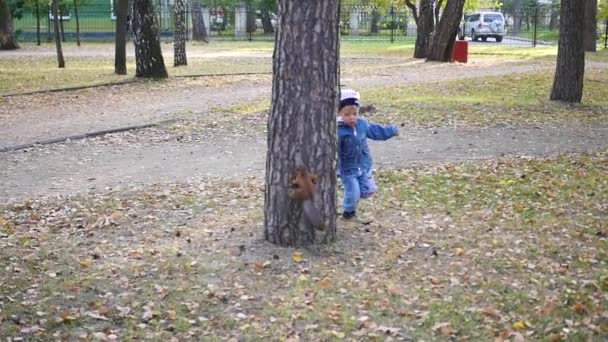 Een klein kind speelt met een eekhoorn in het Park — Stockvideo