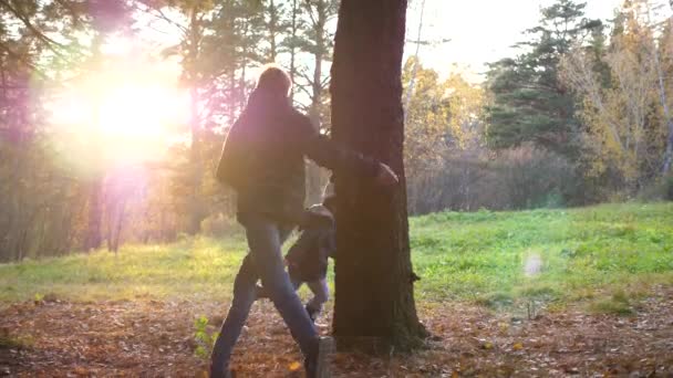10代の少年は子供と遊び、公園で木の周りを走り、彼に追いつく。太陽の光が松林に差し込む。家族全員の笑いと喜び. — ストック動画