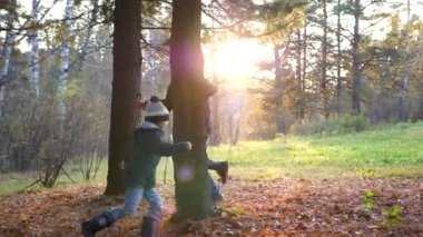 Bir genç bir çocukla oynuyor, bir ağacın etrafında parkta koşuyor ve ona yetişiyor. Güneş ışınları çam ormanına nüfuz ediyor. Tüm ailenin kahkahası ve neşesi.