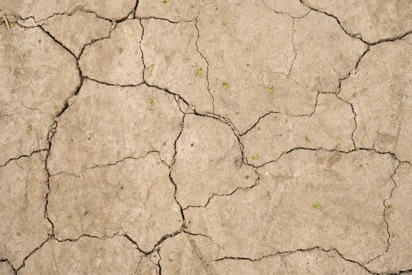  Kuru toprak çatlaklar