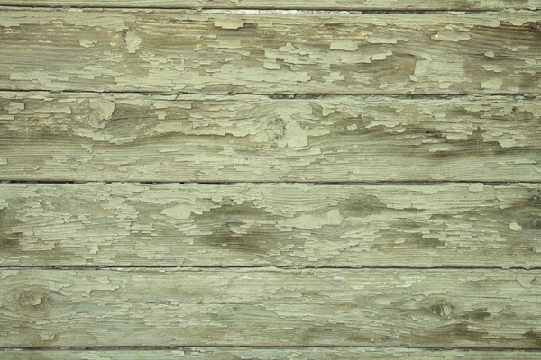 yeşil eski Yönetim Kurulu