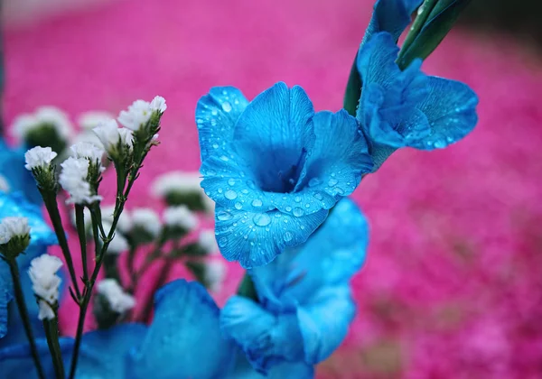 Bir dekorasyon mavi çiçek — Stok fotoğraf