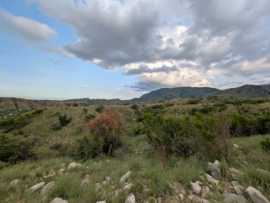 A dramatic wide-angle landscape featuring rolling, green hills and scattered rocks under a dynamic cloudy sky. A single orange-hued tree adds a focal point in the foreground.