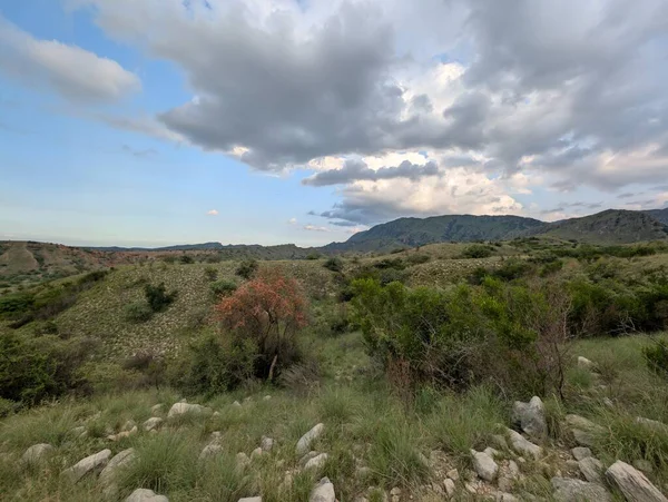 A dramatic wide-angle landscape featuring rolling, green hills and scattered rocks under a dynamic cloudy sky. A single orange-hued tree adds a focal point in the foreground.